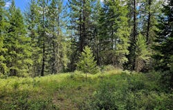 10 HUMES Rd, KETTLE FALLS, WA 99141