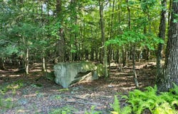 Squaw Valley Lane, Tafton, PA 18464