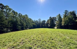 187 High Point Rd., Deer Lodge, TN 37726