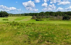Vacant NW Copperhead Way, Madison, FL 32340