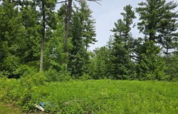 23 1/2 Street, Cameron, WI 54822