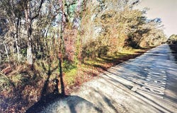 TABLE ROCK Drive, WEBSTER, FL 33597