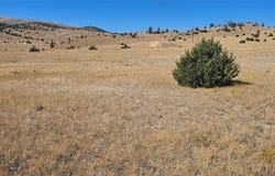 Spur Trail lot: 232, Ennis, MT 59729