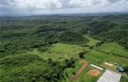 Pr 682 Km 6.5 Int GARROCHALES WARD, ARECIBO, 00612