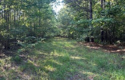 Hwy 32, Oakland, MS 38948