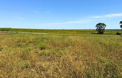 50544 240th Street, Glenwood, IA 51534