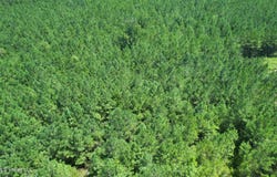 County Rd 2127, McCool, MS 39108