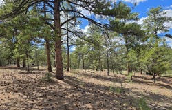 638 Keith Ln, Texas Creek, CO 81223