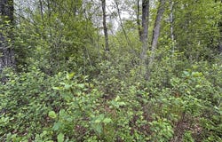 0 Lot 2 Stoddard Rd, Winchendon, MA 01475