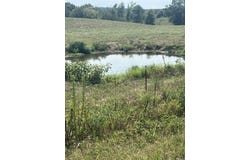W HWY 84, Umpire, AR 71971
