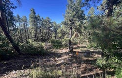 636 E Valley View Drive, Bayfield, CO 81122