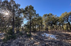 7 Dancing Hawk Drive, Pecos, NM 87552
