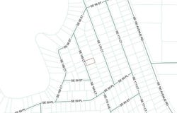SE 169TH CT, OCKLAWAHA, FL 32179