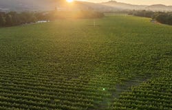 Ragatz Lane, Napa, CA 94558