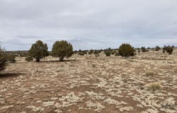 084a Ravens Rest Road, Seligman, AZ 86337
