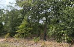 126 Rising Star, Mabank, TX 75156