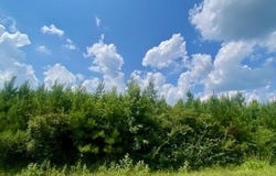 County Line Road, Summit, MS 39666
