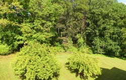 303 TIREE CT #402, ABINGDON, MD 21009