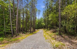 Pete Path lot: 2, Dallas, GA 30157