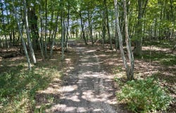 ii.5 Lane, Nahma, MI 49864