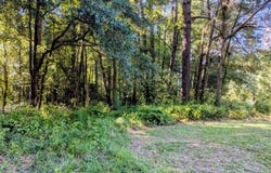 24 Baltimore Road, Riegelwood, NC 28456