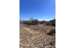 Gobbler Dr, MILLERSVIEW TX, TX 76862