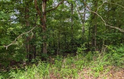 E Lakeshore Drive, Ozark Acres, AR 72482