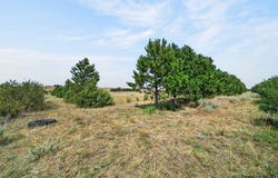 2312 MUGHO RD, Cheyenne, WY 82009