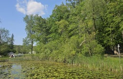 5350 Eze Street, Reading, MI 49274