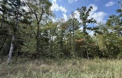 Texas Tower Road, Licking, MO 65542