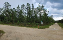 231 SE 146TH Terrace, WILLISTON, FL 32696