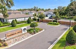 14161 HAMMOCK CREST Way, RIVERVIEW, FL 33569