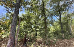 CR 222, Henderson, TX 75652