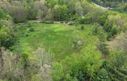 100 Polemic Run Road, Little Birch, WV 26629