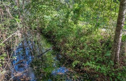 124 P A Sanders Road, Sopchoppy, FL 32358