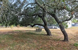 433 County Road 4511, Hondo, TX 78861