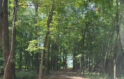 DEEP NECK Road, ROYAL OAK, MD 21662