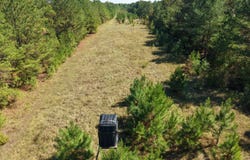 CO RD 38, Safford, AL 36728