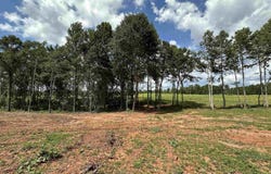 COUNTY ROAD 246 lot: 50, FIVE POINTS, AL 36855