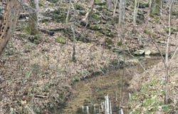 572B County Road 676, Bryant, AL 35958