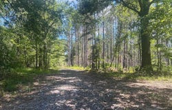 US HWY 231, MATHEWS, AL 36052