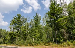 2.97 Acres Lot 8, Block 1 Nature Trail, Crosby, MN 56431