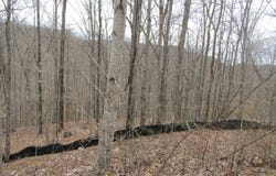 W Bobcat Lane lot: 60, Wilder, TN 38589