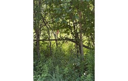 McCarthy Road, Winthrop, NY 13697