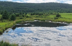 State Route 30, Gilboa, NY 12076