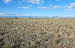 Road N104, Mosca, CO 81146