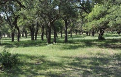 18043 FM 479, Harper, TX 78631