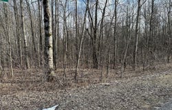 Dellwood lot: 351, Elmira, MI 49730