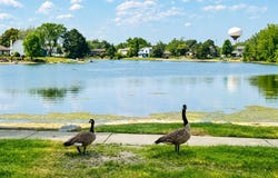 641 Independence Avenue, Westmont, IL 60559