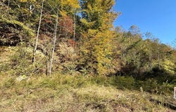 Kidd Fork, Banner, KY 41603
